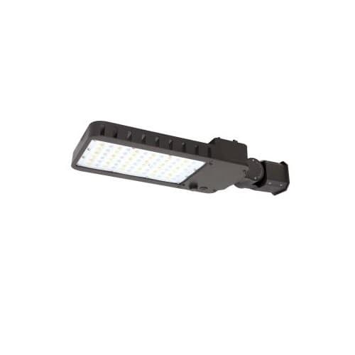75W LED Slim Area Light w/ Knuckle, T3, 120V-277V, CCT Selectable