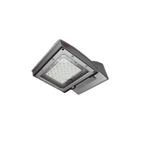 14-in 55W LED Wall Mount, Type III, 6250 lm, 120V-277V, 3000K, Silver