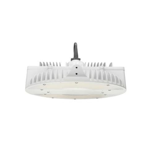 13-in 160W LED Round Pendant High Bay, Frosted Lens, 22264 lm, 5000K