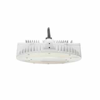 MaxLite 13-in 160W LED Round Pendant High Bay, Frosted Lens, 22264 lm, 5000K