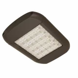 135W LED Shoebox Area Light, Type III, 0-10V Dim, 400W MH Retrofit, 14369 lm, 3000K