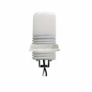 MaxLite 8W LED Miniature Indicator Bulb, 90 CRI, Dimmable, 3000K