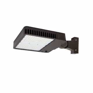 200W LED Slim Area Light w/ Knuckle, T5, 120V-277V, CCT Selectable