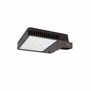 310W LED Slim Area Light w/ Swivel, T4, 120V-277V, CCT Selectable