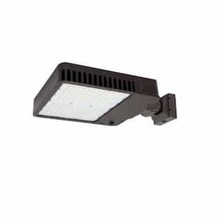 310W LED Slim Area Light w/ Wall Mount, T4, 120V-277V, CCT Selectable