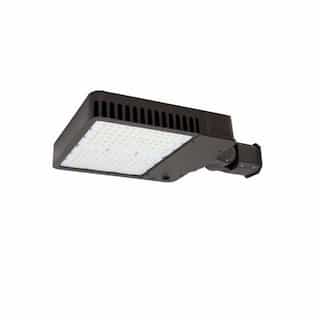310W LED Slim Area Light w/ Knuckle, T3, 277V-480V, CCT Selectable