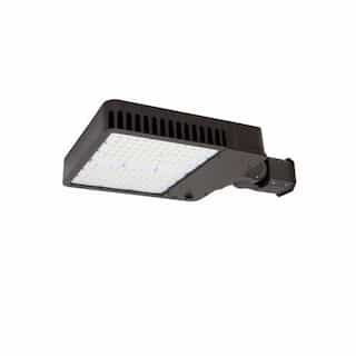 310W LED Slim Area Light w/ Knuckle, T4, 277V-480V, CCT Selectable