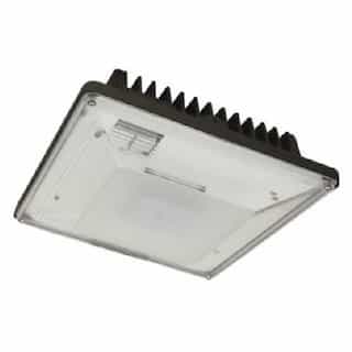 20W 5000K Dimmable LED Low-Profile Canopy Light