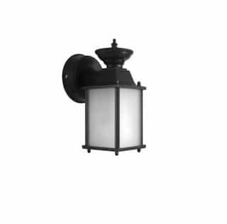 Small Outdoor Wall Lantern Light, Black (17W LED A19 Bulb Included)