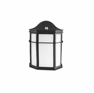 14W Small Traditional Outdoor Lantern, Dimmable, 980 lm, 120V, 2700K, Black