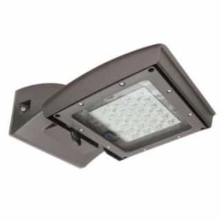 55W LED Shoebox Area Light, Type IV, 0-10V Dim, 250W MH Retrofit, 6250 lm, 5000K
