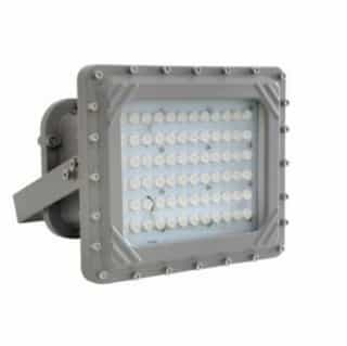 80W Hazard Rated LED High Bay, 175W MH Retrofit, 9600 lm, Division I