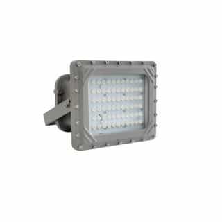 100W Hazard Rated LED Flood Light, 250W MH Retrofit, Dim, 347V-480V, 12000 lm, 5000K