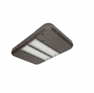 100W QuadroMax LED Area Light w/ Photocell, 11810 lm, 250W MH Retrofit, Type III