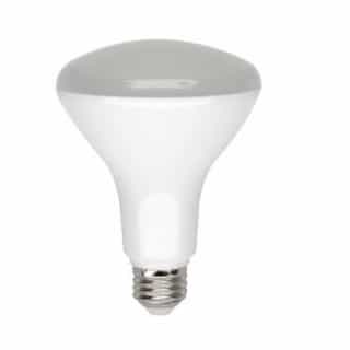 8W LED BR30 Bulb, Dimmable, E26, 650 lm, 120V, 2700K