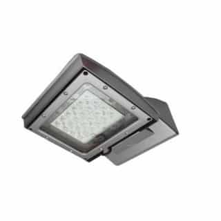 28W LED Shoebox Area Light, Type IV, 0-10V Dim, 175W MH Retrofit, 3230lm, 5000K, Silver