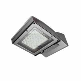 28W LED Shoebox Area Light, Type IV, 0-10V Dim, 175W MH Retrofit, 3200 lm, 4000K, Silver