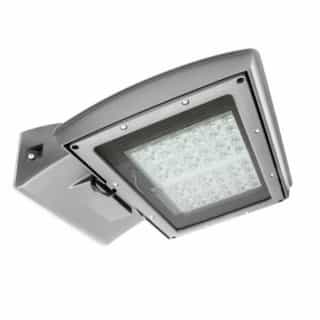 28W LED Shoebox Area Light, Type IV, 0-10V Dim, 175W MH Retrofit, 3230 lm, 3000K, Silver