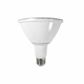 17W LED PAR 38 Wet Listed Lamp Bulb, 1300 Lumens, Dimmable, 5000K
