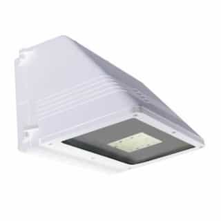 20W Small LED Wall Pack, Full Cut Off, 0-10V Dim, 100W MH Retrofit, 1755 lm, 5000K, White