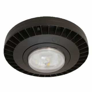 40W Round LED Canopy Light with Surge Suppressor, 277V, 175W MH, 5000K