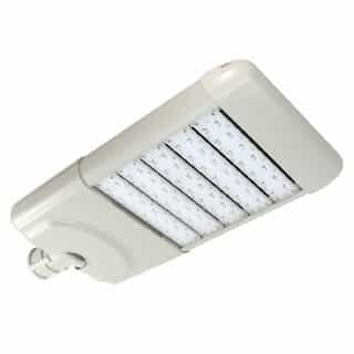 150 Watts 5000K LED Roadway and Area Light, Type 1