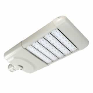 153 Watts 5000K LED Roadway and Area Light, Gray, Type 3 with Fixed Knuckle