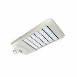 180 Watts 5000K LED Roadway and Area Light with PC Receptacle
