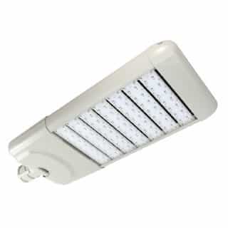 214 Watts 5000K LED Roadway and Area Light, Type 3, Gray, with Fixed Knuckle