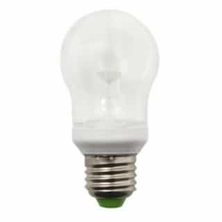 2.5W 2700K Marquee Bulb, Clear Glass, Wet Listed