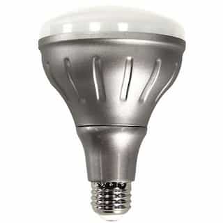 10W LED BR30 Flood Lamp, 3000K, Dimmable, 750 Lumens