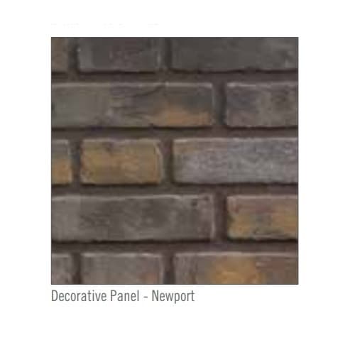 Napoleon Decorative Panel End for Ascent Multi-View Fireplace, Newport Standard