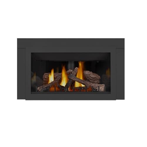 Inspiration ZC Gas Fireplace Insert w/ Millivolt Ignition, Direct, Gas