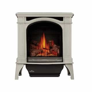 Napoleon Bayfield Stove w/ Electronic Ignition, Direct, Winter Frost