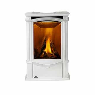 Napoleon Castlemore Stove w/ Electronic Ignition, Direct, Winter Frost