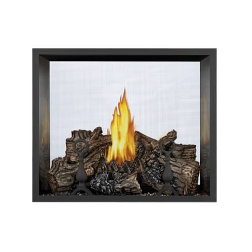 High Definition 81 Gas Fireplace, See Through, Direct, Natural Gas