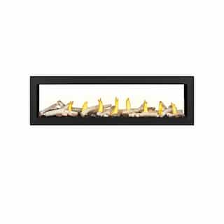 Napoleon 62-in Vector Gas Fireplace, See Through, Direct, Natural Gas