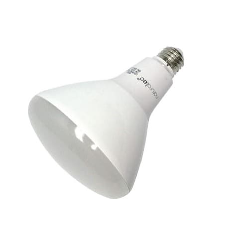 NaturaLED 17W LED BR40 Light Bulb, Dimmable, 2700K