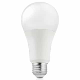 15W 2700K Dimmable LED A21 Bulb 