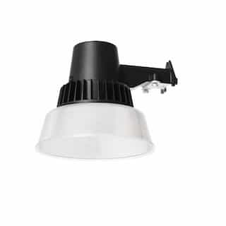 NaturaLED 40W LED Barn Light w/Photocell, 4806 lm, 4000K, Black