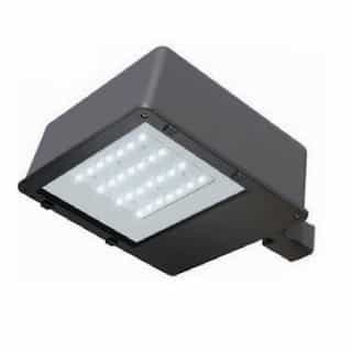 110W LED Shoebox Area Light, 0-10V Dimmable, 8574 lm, 5000K, White