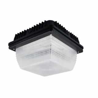 NaturaLED 59W 5000K Slim LED Canopy Light with Sensor, White