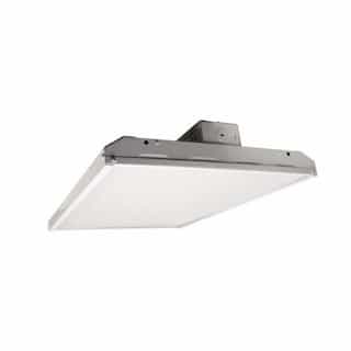 NaturaLED 162W 2' High Bay LED Light, Dimmable, 5000K