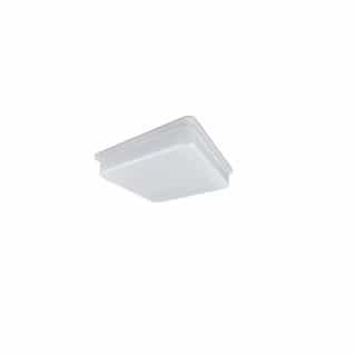 NaturaLED Frosted Lens for 10x10-in Slim Canopy Light, 28W, 42W, 59W