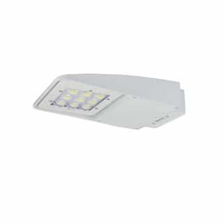 Back Glare Shields for Small Slim Area Light (29-100W), White