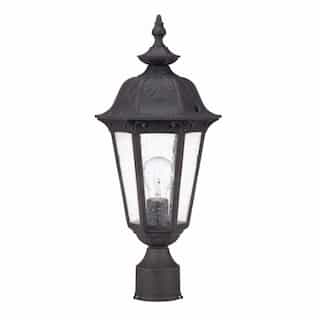 Cortland Mid-Size Post Lantern Light, Seeded Glass