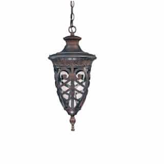100W Aston Hanging Lantern, Clear Seeded Glass, Dark Plum Bronze