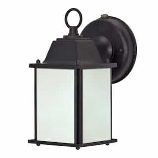 13W Cube Lantern Outdoor Light w/ Photocell, Textured Black, Frosted Glass