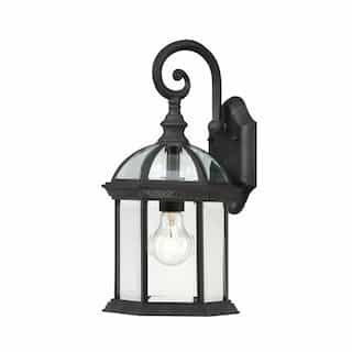 Nuvo 100W Boxwood 15" Outdoor Wall Light w/ Clear Beveled Glass, Black