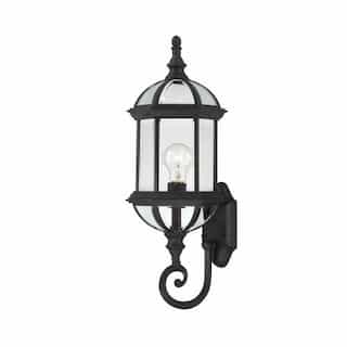 Nuvo 100W Boxwood 24" Outdoor Wall Light, Black